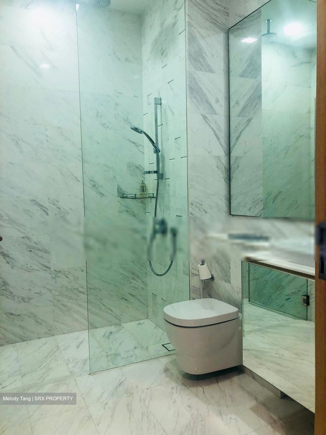 Waterscape at Cavenagh (D9), Apartment #399123241